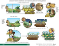 Thumbnail for version as of 14:38, 15 April 2026