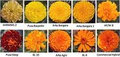 Thumbnail for version as of 14:42, 15 April 2026