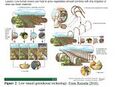 Thumbnail for version as of 21:04, 10 April 2026