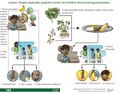 Thumbnail for version as of 21:01, 10 April 2026