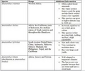 Thumbnail for version as of 15:17, 15 April 2026