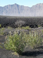 Thumbnail for version as of 14:41, 15 April 2026