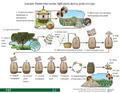Thumbnail for version as of 14:38, 15 April 2026