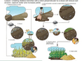 Thumbnail for version as of 15:17, 15 April 2026