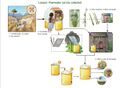 Thumbnail for version as of 21:04, 10 April 2026