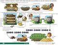 Thumbnail for version as of 21:01, 10 April 2026