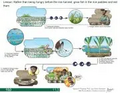 Thumbnail for version as of 14:39, 15 April 2026