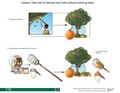 Thumbnail for version as of 21:01, 10 April 2026
