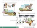 Thumbnail for version as of 21:05, 10 April 2026
