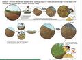 Thumbnail for version as of 21:03, 10 April 2026
