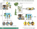 Thumbnail for version as of 14:42, 15 April 2026
