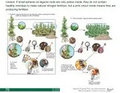 Thumbnail for version as of 14:38, 15 April 2026