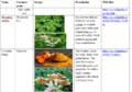 Thumbnail for version as of 21:03, 10 April 2026