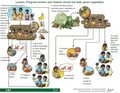 Thumbnail for version as of 14:40, 15 April 2026