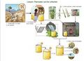 Thumbnail for version as of 21:01, 10 April 2026