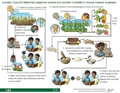 Thumbnail for version as of 14:39, 15 April 2026