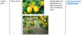 Thumbnail for version as of 21:05, 10 April 2026