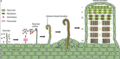 Thumbnail for version as of 21:02, 10 April 2026