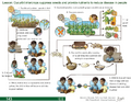 Thumbnail for version as of 14:38, 15 April 2026
