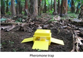 Thumbnail for version as of 13:41, 18 July 2026