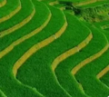 Thumbnail for version as of 15:17, 15 April 2026