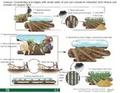 Thumbnail for version as of 14:40, 15 April 2026