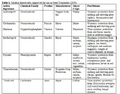 Thumbnail for version as of 15:17, 15 April 2026