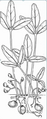 Thumbnail for version as of 15:17, 15 April 2026