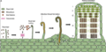 Thumbnail for version as of 14:40, 15 April 2026