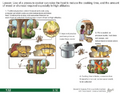 Thumbnail for version as of 15:17, 15 April 2026