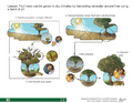 Thumbnail for version as of 14:42, 15 April 2026