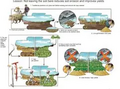 Thumbnail for version as of 15:17, 15 April 2026