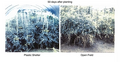 Thumbnail for version as of 13:15, 11 July 2026
