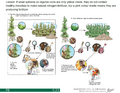 Thumbnail for version as of 14:42, 15 April 2026