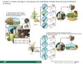 Thumbnail for version as of 21:03, 10 April 2026