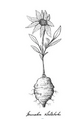 Thumbnail for version as of 15:17, 15 April 2026