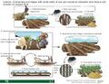 Thumbnail for version as of 21:00, 10 April 2026