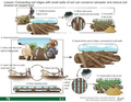 Thumbnail for version as of 14:40, 15 April 2026