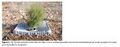 Thumbnail for version as of 21:01, 10 April 2026
