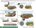 Thumbnail for version as of 21:00, 10 April 2026