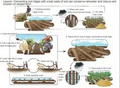 Thumbnail for version as of 15:17, 15 April 2026