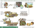 Thumbnail for version as of 14:39, 15 April 2026