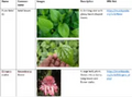 Thumbnail for version as of 14:43, 15 April 2026