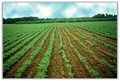 Thumbnail for version as of 14:43, 15 April 2026