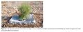 Thumbnail for version as of 21:00, 10 April 2026