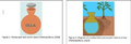 Thumbnail for version as of 14:42, 15 April 2026