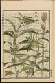 Thumbnail for version as of 14:39, 15 April 2026
