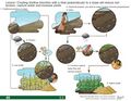 Thumbnail for version as of 21:02, 10 April 2026