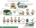 Thumbnail for version as of 14:43, 15 April 2026