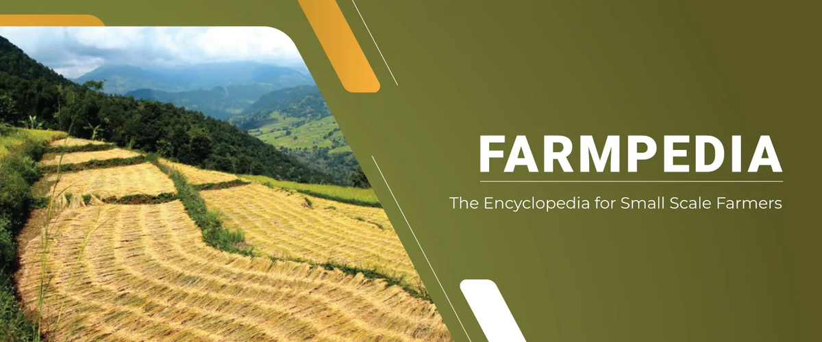 Farmpedia – free agricultural encyclopedia for small scale farmers in developing nations